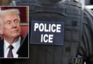 Federal Appeals Court Sides with Trump, Restores Full ICE Authority