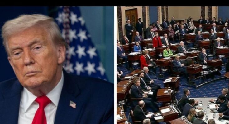 Trump Backs GOP Candidate To Replace